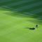 golf-wordpress-theme-16 golf-wordpress-theme-16